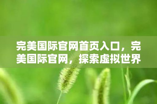 完美国际官网首页入口，完美国际官网，探索虚拟世界的门户