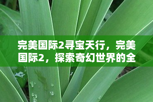 完美国际2寻宝天行，完美国际2，探索奇幻世界的全新篇章