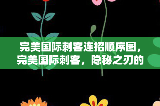 完美国际刺客连招顺序图，完美国际刺客，隐秘之刃的传奇之旅