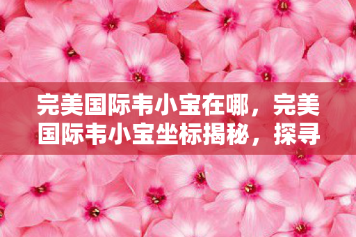 完美国际韦小宝在哪,完美国际韦小宝坐标揭秘,探寻游戏中的神秘人物 完美国际韦小宝在哪,完美国际韦小宝坐标揭秘,探寻游戏中的神秘人物