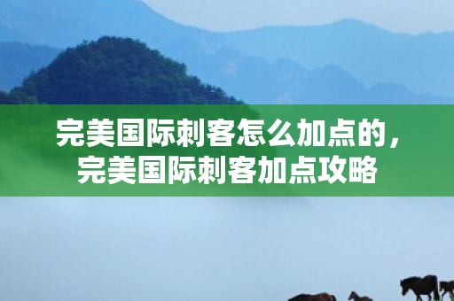 完美国际刺客怎么加点的,完美国际刺客加点攻略 完美国际刺客怎么加点的,完美国际刺客加点攻略