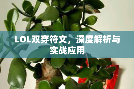 LOL双穿符文，深度解析与实战应用
