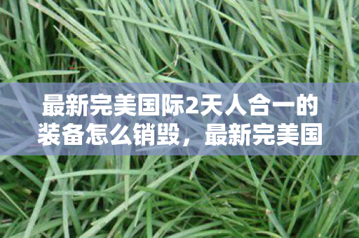 最新完美国际2天人合一的装备怎么销毁,最新完美国际sf,探索未知的游戏世界 最新完美国际2天人合一的装备怎么销毁,最新完美国际sf,探索未知的游戏世界