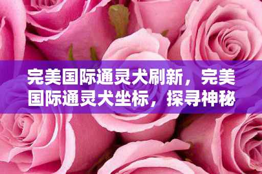 完美国际通灵犬刷新，完美国际通灵犬坐标，探寻神秘宠物之旅