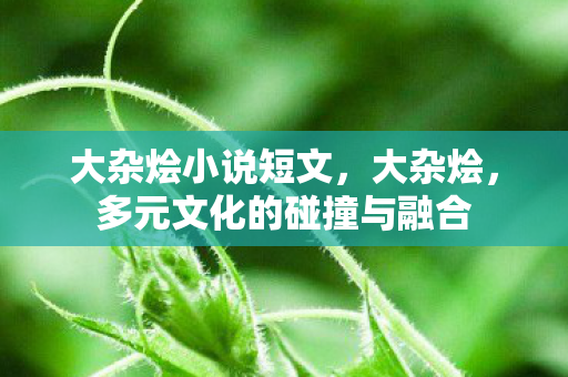 大杂烩小说短文，大杂烩，多元文化的碰撞与融合