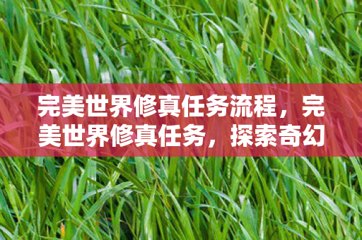 完美世界修真任务流程，完美世界修真任务，探索奇幻世界的修行之旅