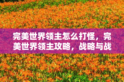 完美世界领主怎么打怪，完美世界领主攻略，战略与战术并重，成为无敌领主