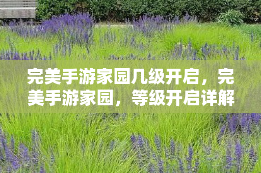 完美手游家园几级开启，完美手游家园，等级开启详解