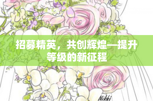 招募精英，共创辉煌—提升等级的新征程