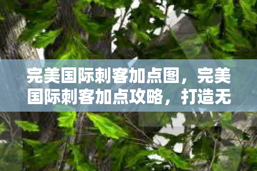 完美国际刺客加点图，完美国际刺客加点攻略，打造无敌刺客之路