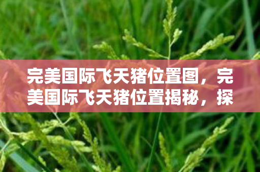 完美国际飞天猪位置图，完美国际飞天猪位置揭秘，探寻神秘宝藏的指南
