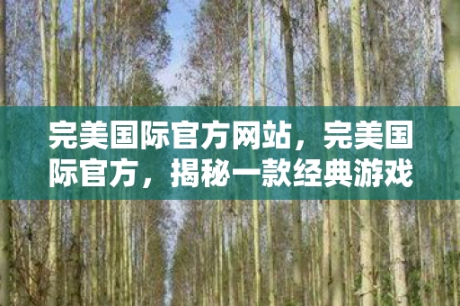 完美国际官方网站，完美国际官方，揭秘一款经典游戏的诞生与辉煌