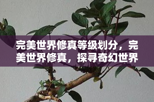 完美世界修真等级划分，完美世界修真，探寻奇幻世界的修真之旅