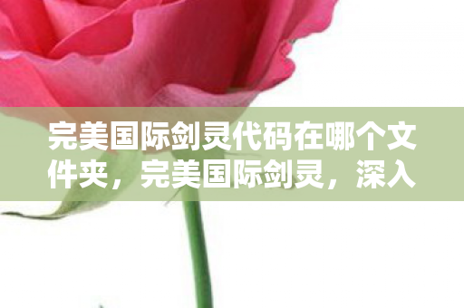 完美国际剑灵代码在哪个文件夹,完美国际剑灵,深入解析代码的秘密 完美国际剑灵代码在哪个文件夹,完美国际剑灵,深入解析代码的秘密