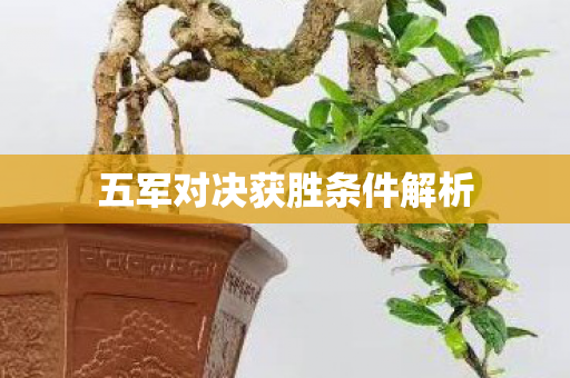 五军对决获胜条件解析