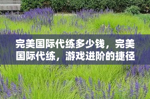 完美国际代练多少钱，完美国际代练，游戏进阶的捷径还是陷阱？