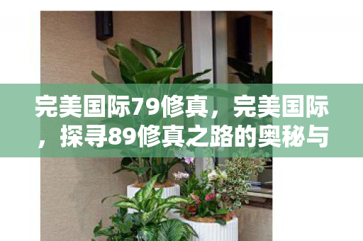 完美国际79修真,完美国际,探寻89修真之路的奥秘与魅力 完美国际79修真,完美国际,探寻89修真之路的奥秘与魅力