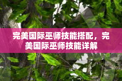 完美国际巫师技能搭配,完美国际巫师技能详解 完美国际巫师技能搭配,完美国际巫师技能详解