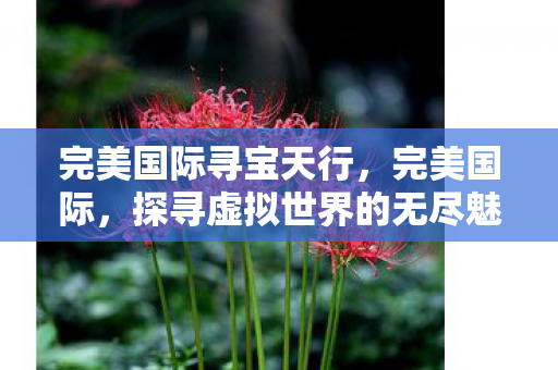 完美国际寻宝天行，完美国际，探寻虚拟世界的无尽魅力