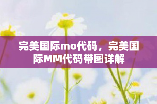 完美国际mo代码，完美国际MM代码带图详解