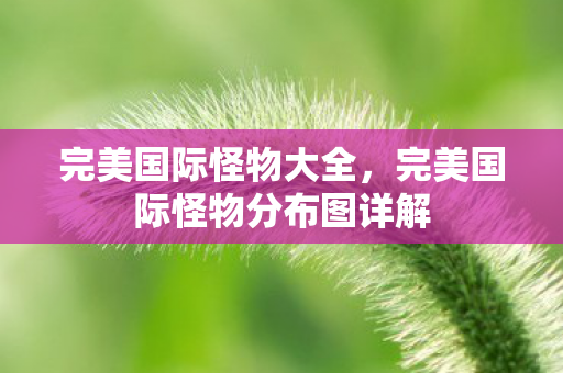 完美国际怪物大全,完美国际怪物分布图详解 完美国际怪物大全,完美国际怪物分布图详解