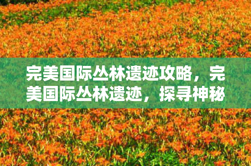 完美国际丛林遗迹攻略,完美国际丛林遗迹,探寻神秘古文明的印记 完美国际丛林遗迹攻略,完美国际丛林遗迹,探寻神秘古文明的印记