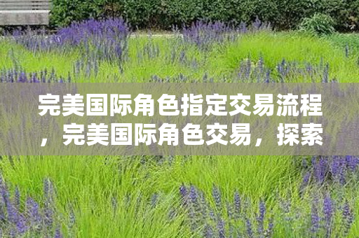 完美国际角色指定交易流程,完美国际角色交易,探索虚拟世界的资产转移 完美国际角色指定交易流程,完美国际角色交易,探索虚拟世界的资产转移