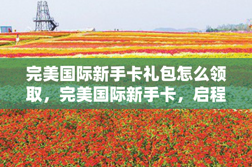 完美国际新手卡礼包怎么领取，完美国际新手卡，启程新世界的钥匙