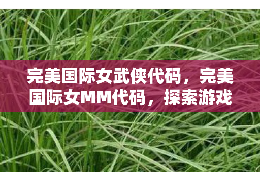 完美国际女武侠代码，完美国际女MM代码，探索游戏内外的魅力与时尚潮流