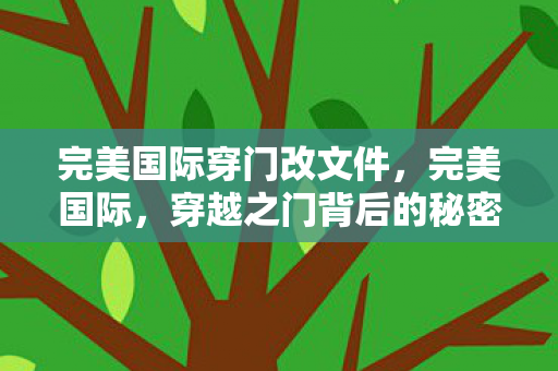 完美国际穿门改文件，完美国际，穿越之门背后的秘密