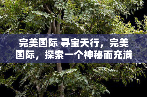 完美国际 寻宝天行，完美国际，探索一个神秘而充满魅力的虚拟世界
