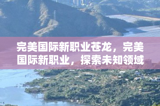 完美国际新职业苍龙，完美国际新职业，探索未知领域，引领时代潮流