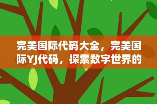 完美国际代码大全，完美国际YJ代码，探索数字世界的秘密之门