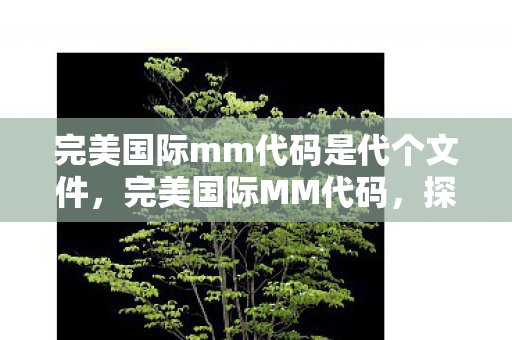 完美国际mm代码是代个文件，完美国际MM代码，探索神秘世界的无限魅力