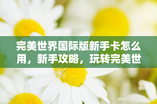 完美世界国际版新手卡怎么用，新手攻略，玩转完美世界国际版新手卡