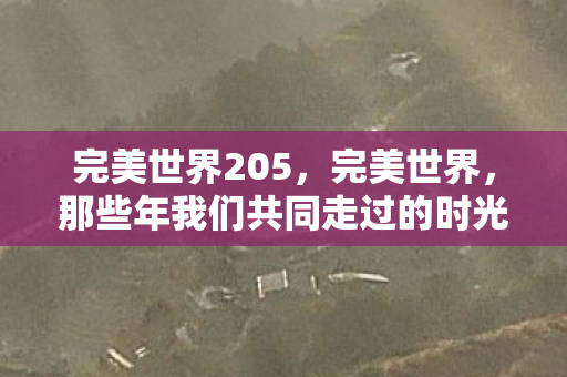完美世界205,完美世界,那些年我们共同走过的时光(2012年回顾) 完美世界205,完美世界,那些年我们共同走过的时光(2012年回顾)