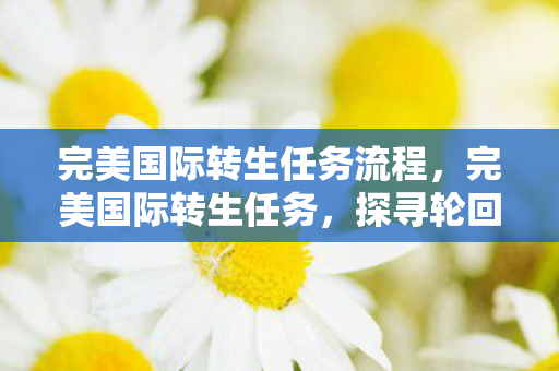 完美国际转生任务流程,完美国际转生任务,探寻轮回之旅的神秘挑战 完美国际转生任务流程,完美国际转生任务,探寻轮回之旅的神秘挑战