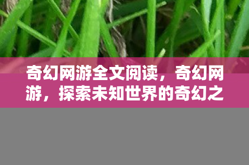 奇幻网游全文阅读,奇幻网游,探索未知世界的奇幻之旅 奇幻网游全文阅读,奇幻网游,探索未知世界的奇幻之旅