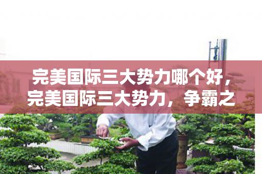 完美国际三大势力哪个好,完美国际三大势力,争霸之路与独特魅力 完美国际三大势力哪个好,完美国际三大势力,争霸之路与独特魅力