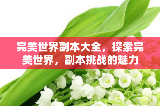 完美世界副本大全，探索完美世界，副本挑战的魅力