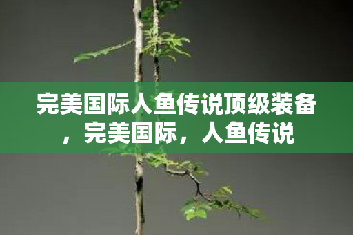 完美国际人鱼传说顶级装备,完美国际,人鱼传说 完美国际人鱼传说顶级装备,完美国际,人鱼传说