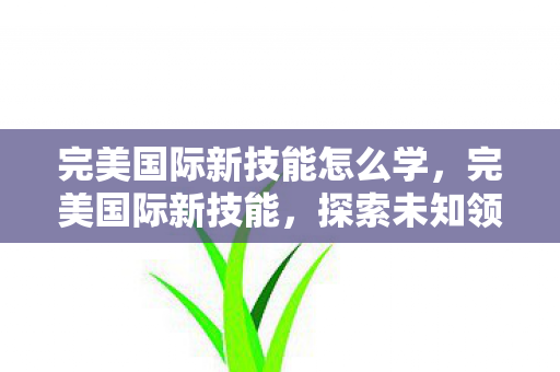 完美国际新技能怎么学，完美国际新技能，探索未知领域，开启全新篇章