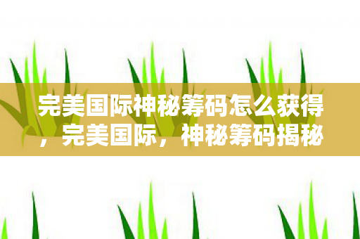 完美国际神秘筹码怎么获得，完美国际，神秘筹码揭秘