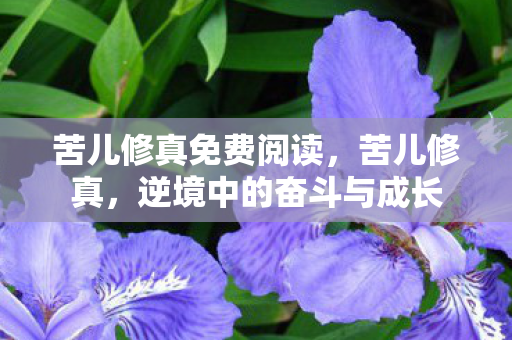 苦儿修真免费阅读，苦儿修真，逆境中的奋斗与成长