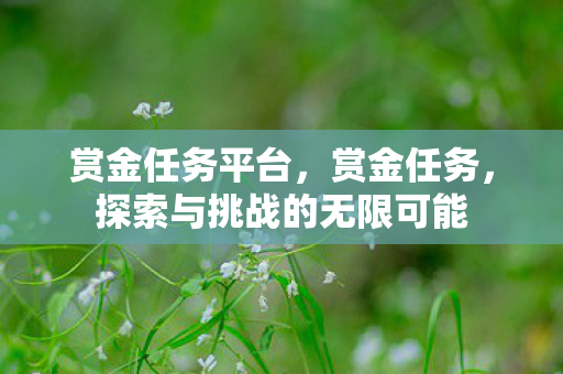 赏金任务平台，赏金任务，探索与挑战的无限可能