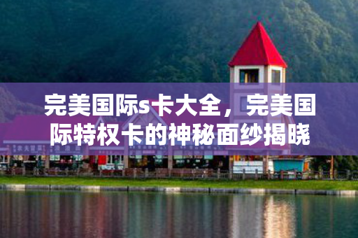 完美国际s卡大全，完美国际特权卡的神秘面纱揭晓