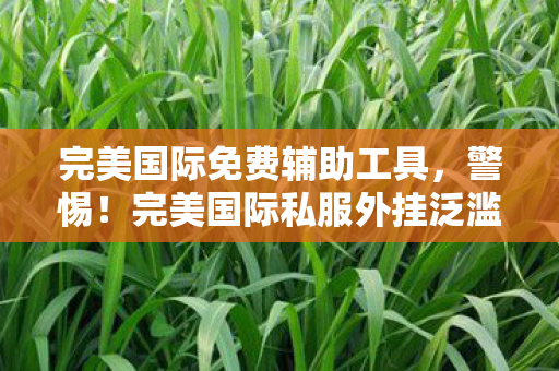 完美国际免费辅助工具，警惕！完美国际私服外挂泛滥，游戏安全何去何从？