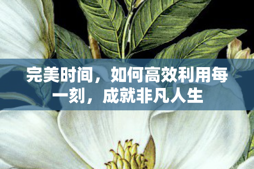 完美时间，如何高效利用每一刻，成就非凡人生