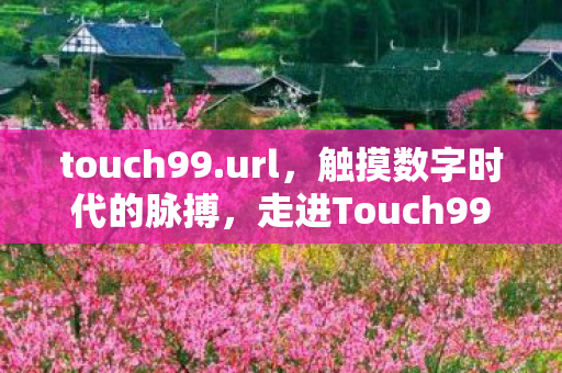 touch99.url，触摸数字时代的脉搏，走进Touch99论坛的世界
