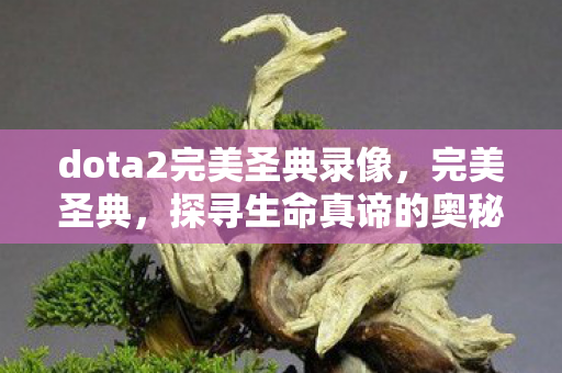 dota2完美圣典录像，完美圣典，探寻生命真谛的奥秘之旅